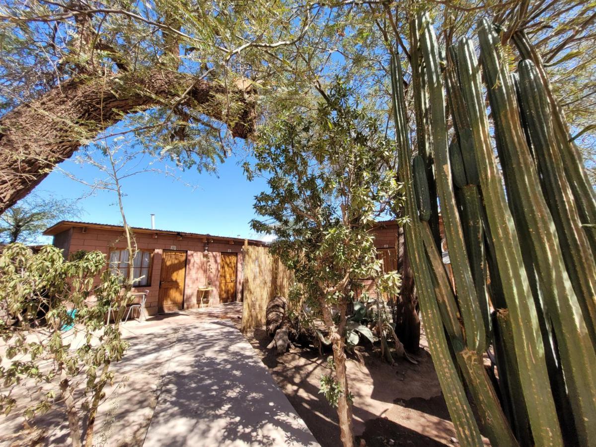 Hostal Katarpe San Pedro de Atacama Exteriör bild
