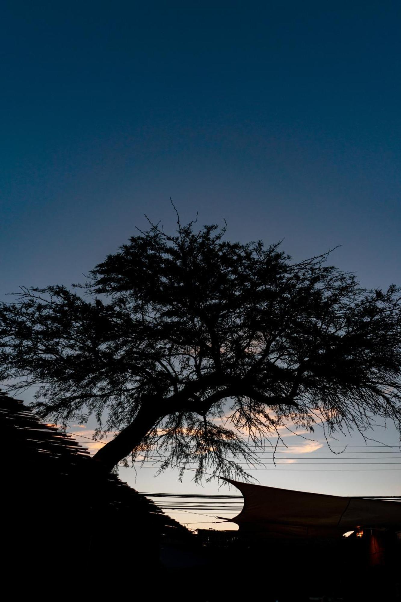 Hostal Katarpe San Pedro de Atacama Exteriör bild