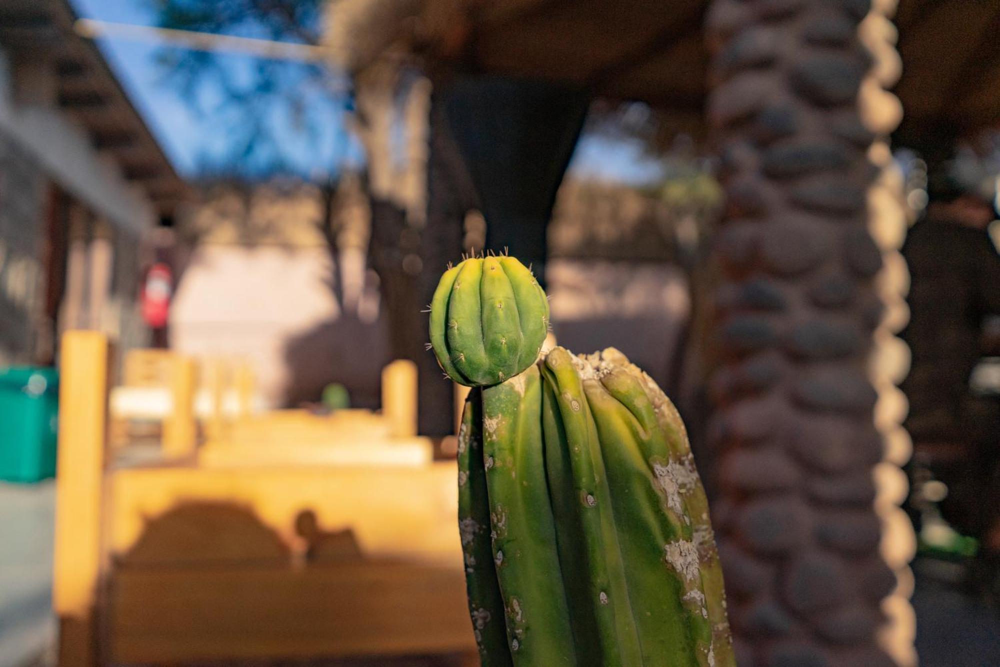 Hostal Katarpe San Pedro de Atacama Exteriör bild